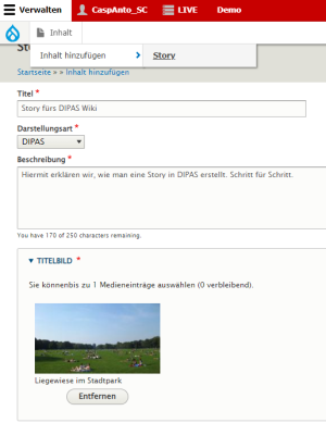 Screenshot vom DIPAS Backend: story erstellen